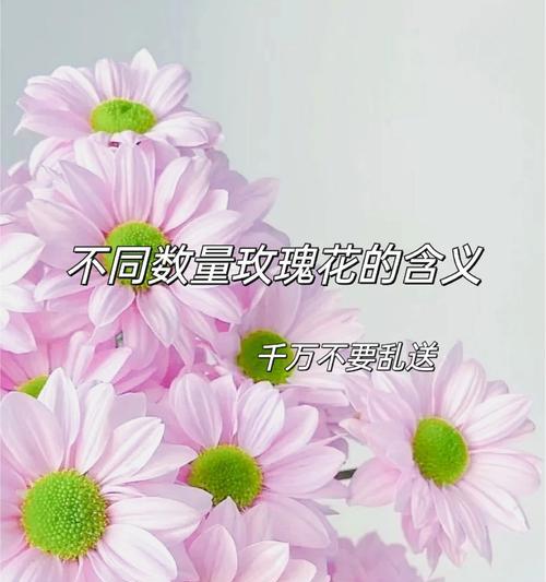 5朵玫瑰花的含义是什么？