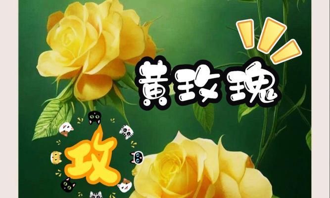 黄色玫瑰的含义是什么？