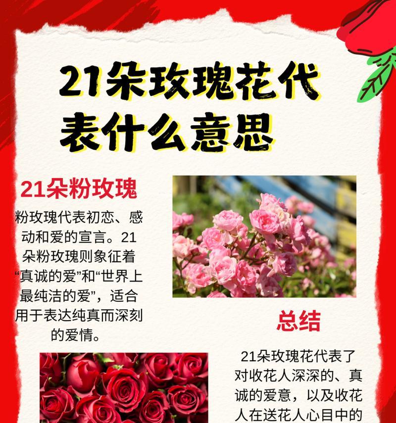 52朵玫瑰花的含义是什么？图片和视频如何展示其意义？