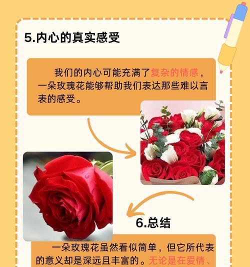 五十九朵玫瑰花代表什么含义？其象征意义有哪些？