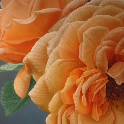 176朵玫瑰花是什么意思？图片大全能展示其含义吗？