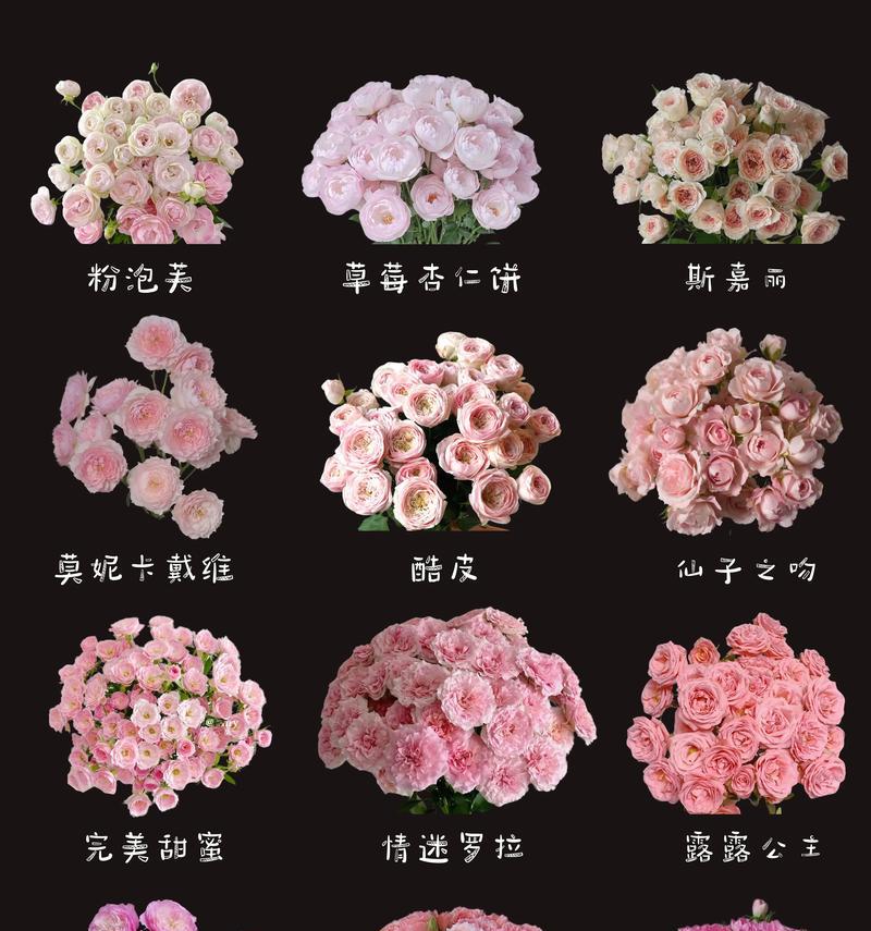12朵玫瑰花代表什么意思？