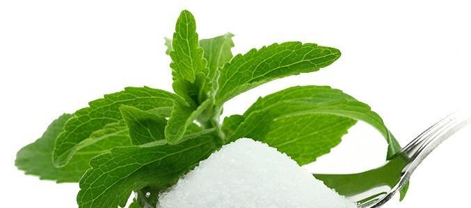 绿色能量植物饮料有哪些？它们的健康益处是什么？