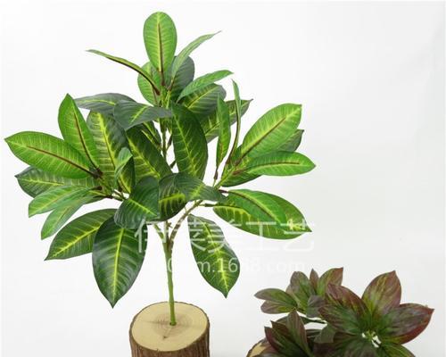如何绘制模糊效果的植物道具？