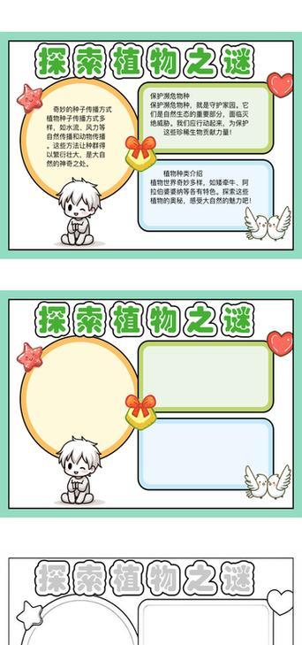 植物制作小报的步骤是什么？需要哪些材料？