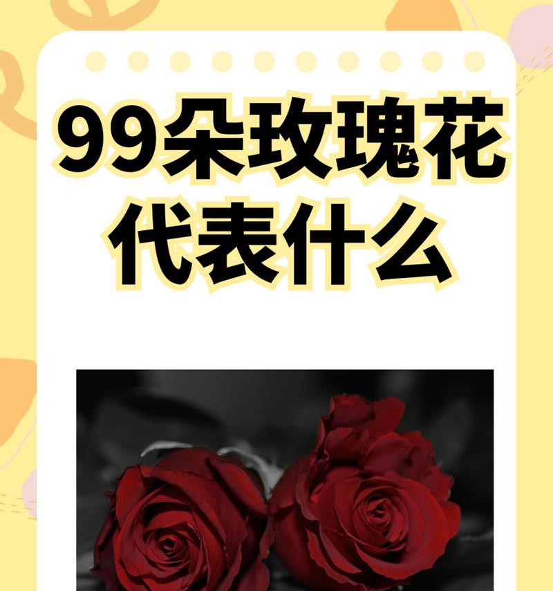 玫瑰花数量与寓意有何关联？