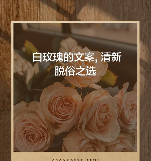 初识时送白玫瑰有何含义？