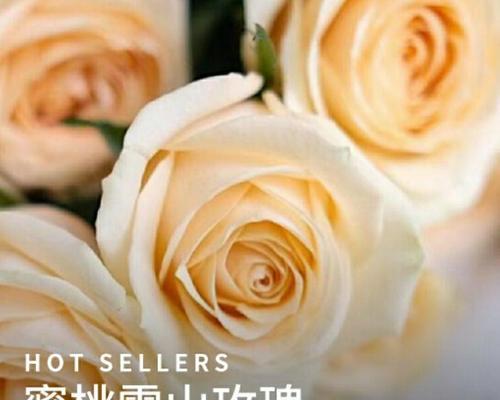 结婚时手上捏的玫瑰花有何含义？它象征着什么？