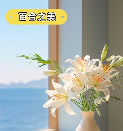 微风百合的作品有何深意？它传达了怎样的情感？