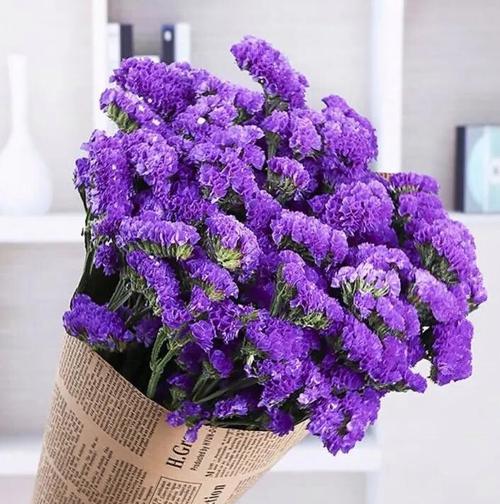 哪种花代表友情的花语？友情花语有哪些？