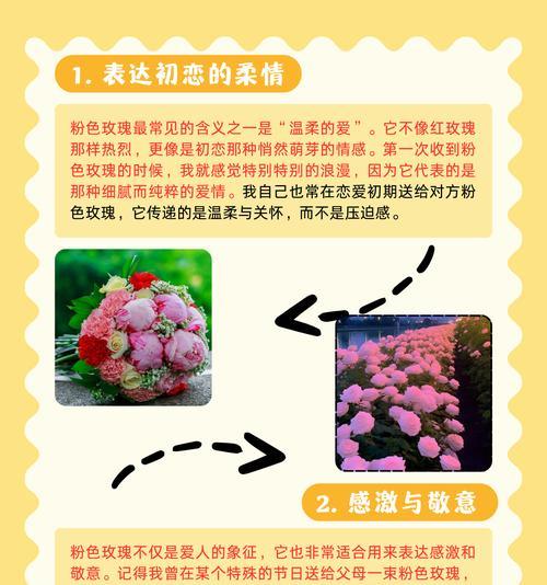 男朋友送冰玫瑰花是什么意思？它在情感上代表了什么？