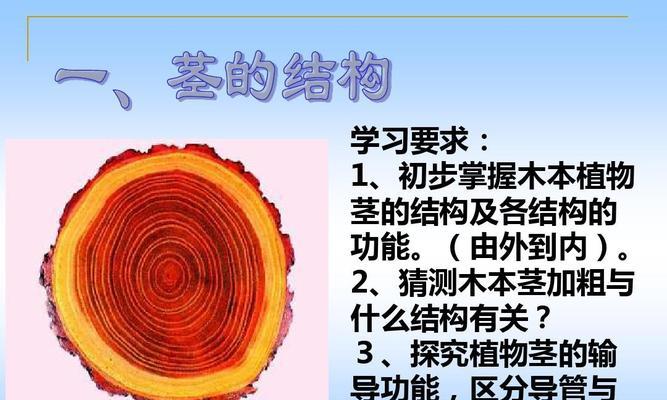 植物的茎有什么作用？茎的定义是什么？
