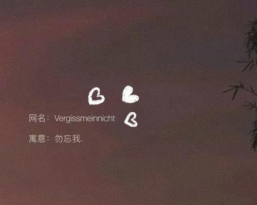 网名中使用白玫瑰有何深意？