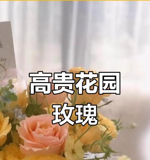 黄色玫瑰花传递给妻子的含义是什么？