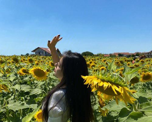 《难言的花语》下一集剧情走向如何？