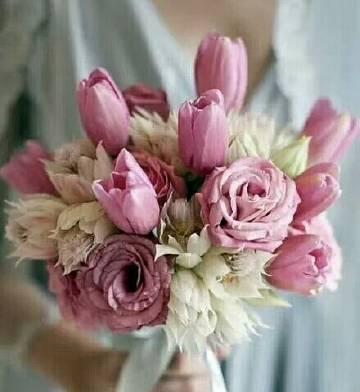 《难言的花语》下一集剧情走向如何？
