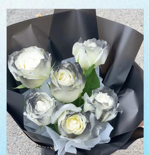 黑骑士玫瑰花是代表什么含义？这种花语传递了哪些信息？