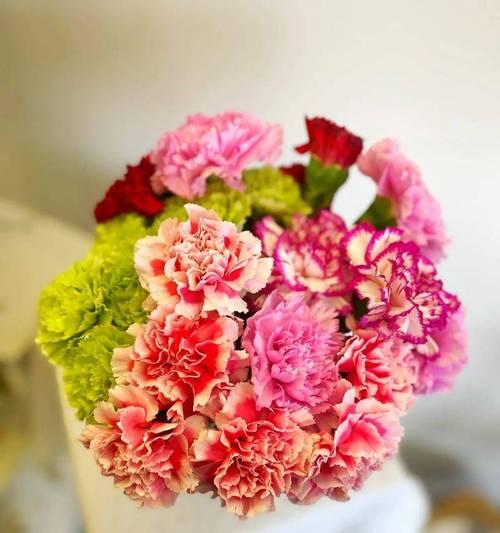 康乃馨33朵代表的花语是什么？它有什么特别的含义吗？