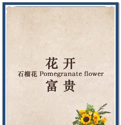 送给家人的花语有哪些含义？