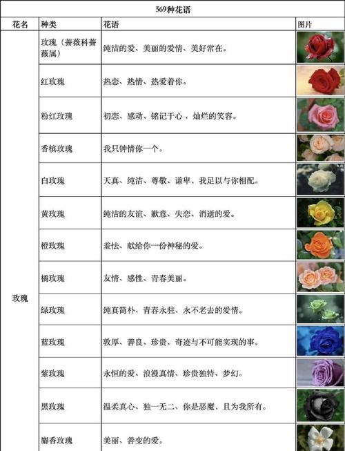 花与花语各自代表什么意义？