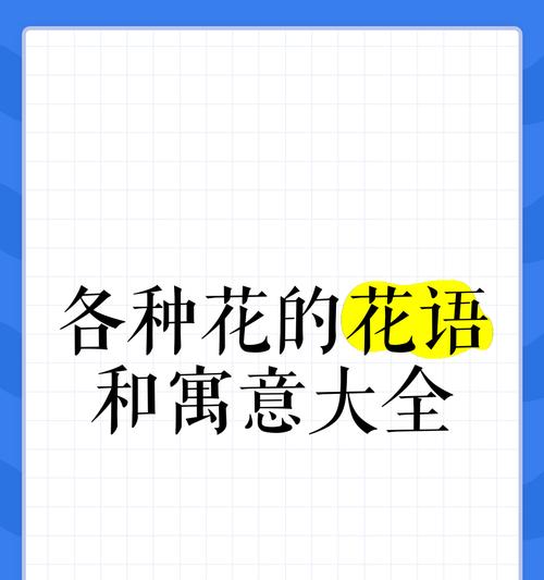 花与花语各自代表什么意义？