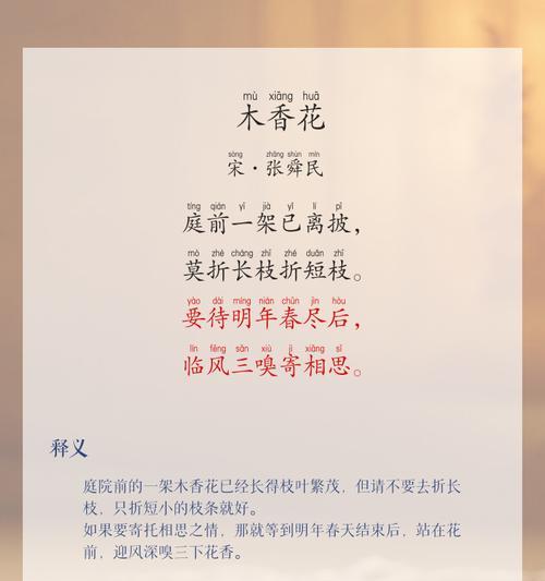 木乃香的花语是什么意思？它传递了哪种情感？