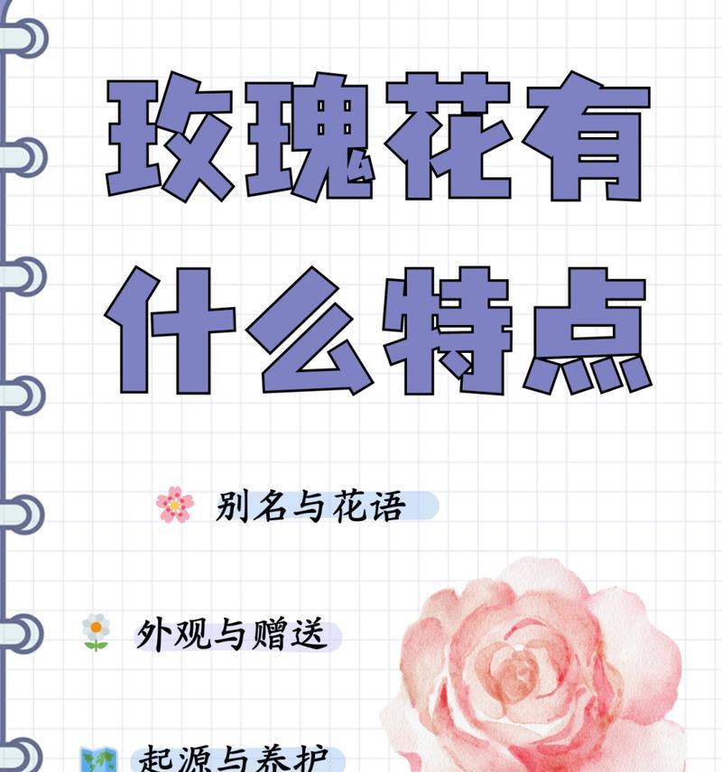 玫瑰花表示爱意时的花语是什么？