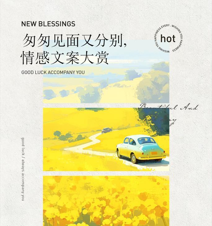 再次相遇的花语表达怎样的情感？