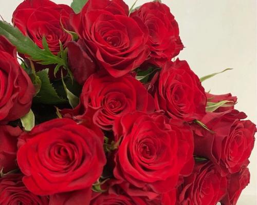 宝石玫瑰花送几朵代表什么？宝石玫瑰花的含义是什么？