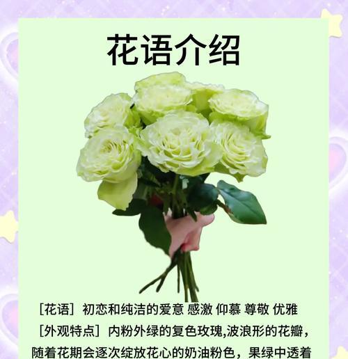 公主送玫瑰花的花语有何特别？