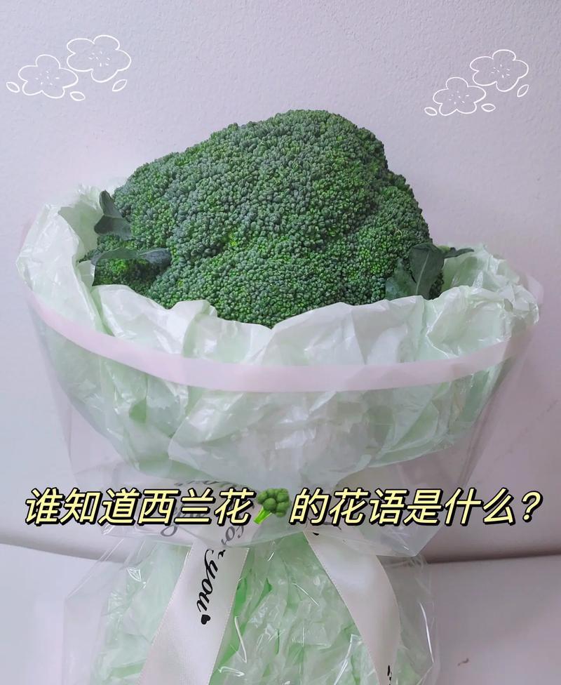 西兰花摆盘的花语是什么？有何特别之处？