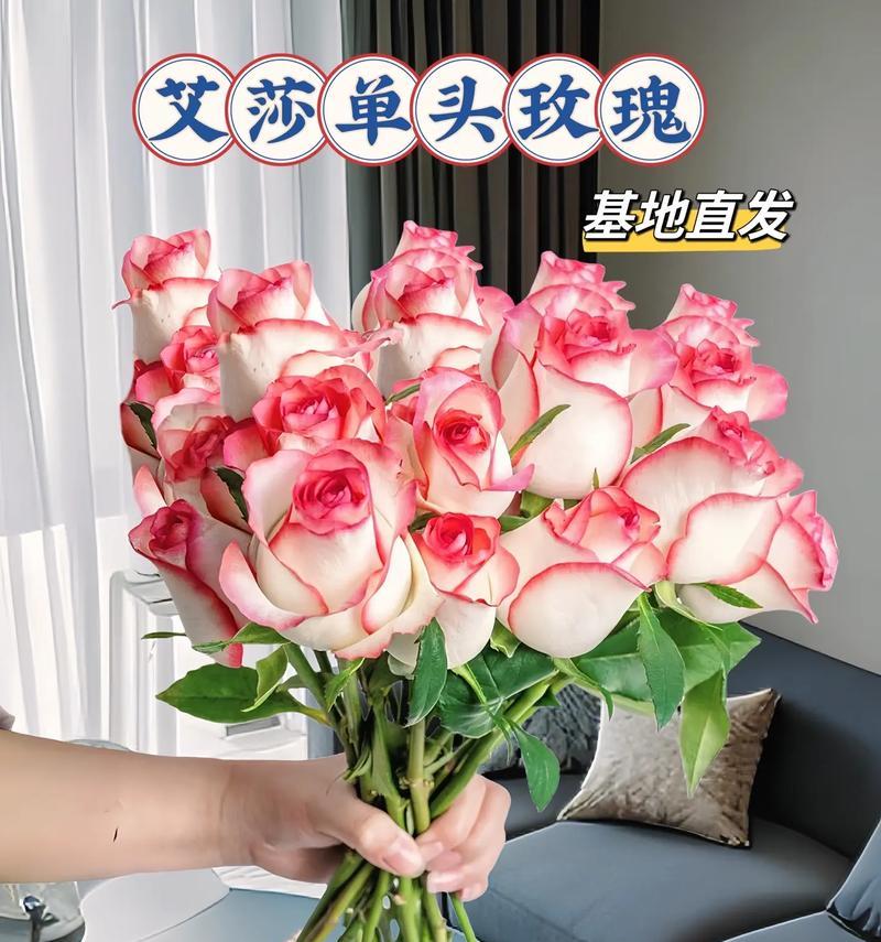 十一支艾莎的花语是什么？它通常用来表达什么？