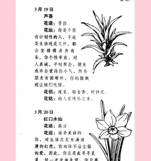 含蓄情感的花语有哪些？