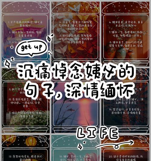 看望已故兄弟应选择哪种花语？