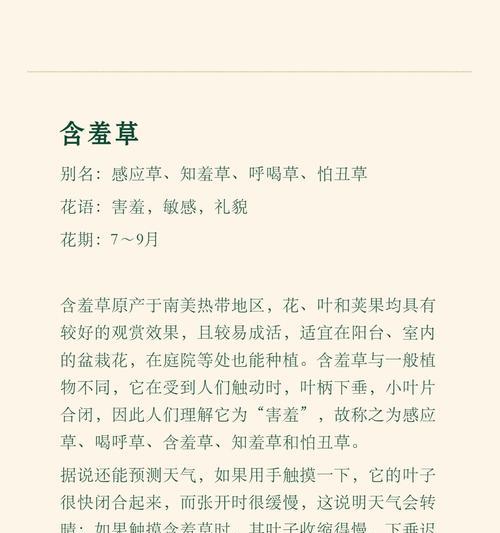含羞玫瑰的花语有何深意？暗香含羞玫瑰代表什么？