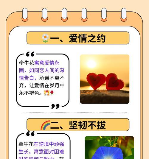 含羞玫瑰的花语有何深意？暗香含羞玫瑰代表什么？
