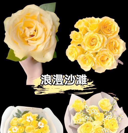 十朵黄玫瑰的花语是什么？它们代表了哪种情感？