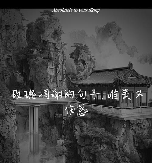 玫瑰花凋谢代表了什么？
