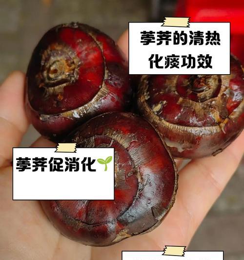 螺旋鳞荸荠如何种植？种植过程中需要注意什么？