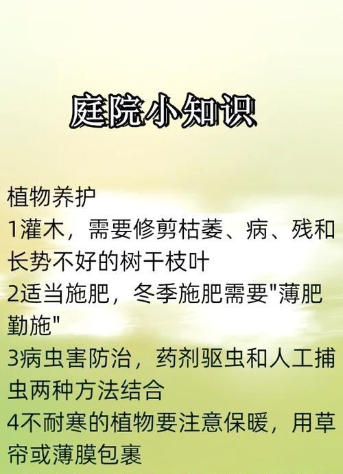 冬季绿化养护为何重要？如何进行有效的冬季养护？