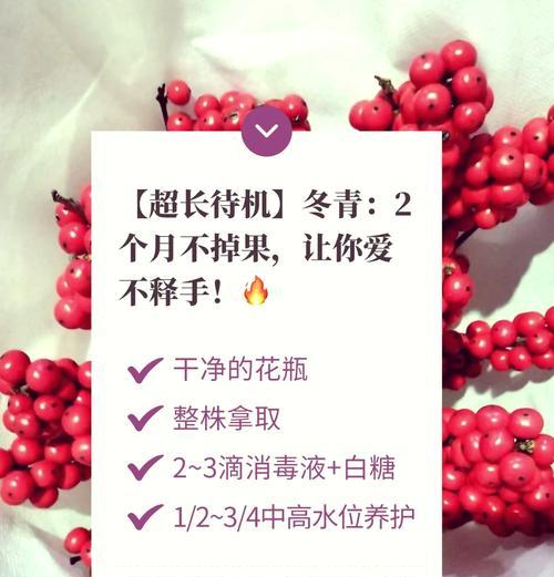 冬季绿化养护为何重要？如何进行有效的冬季养护？