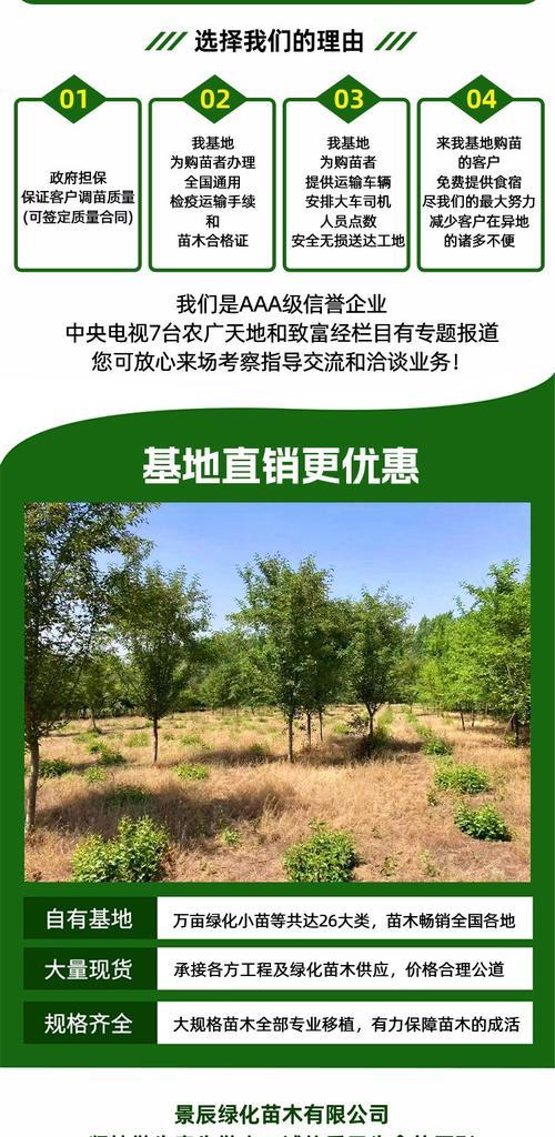 白腊种植需要注意哪些问题？