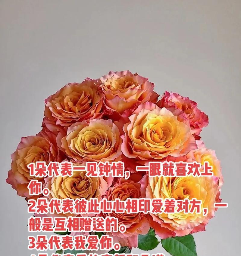 373朵玫瑰代表什么意思？