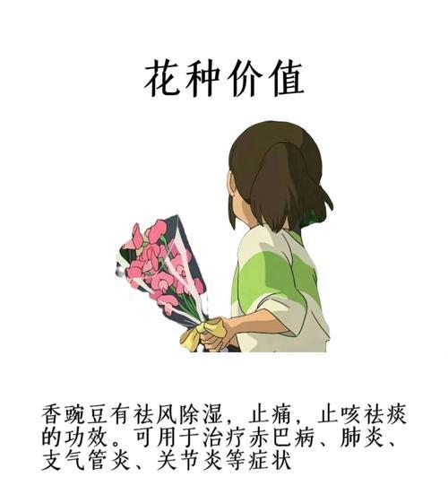 豌豆花的花语寓意是什么？它代表了哪些情感？