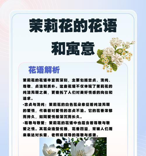 姑娘送的花代表什么？花语中隐藏了哪些情感？