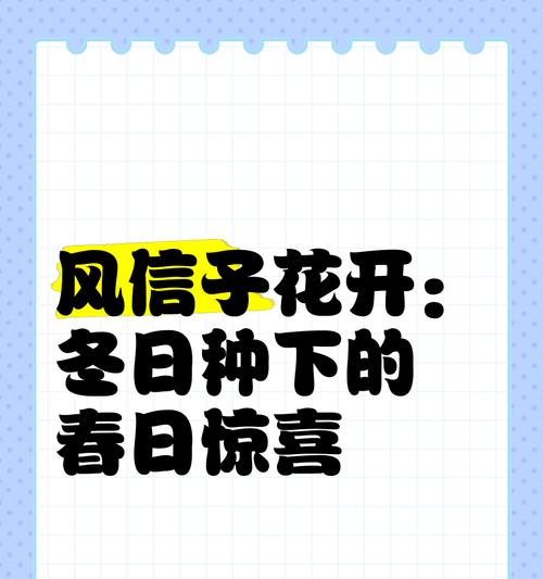 今日小惊喜的花语是什么？小惊喜花语代表什么？