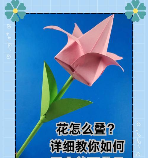 对花里说的花语有何含义？