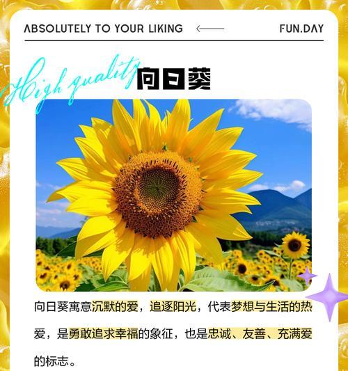 对花里说的花语有何含义？