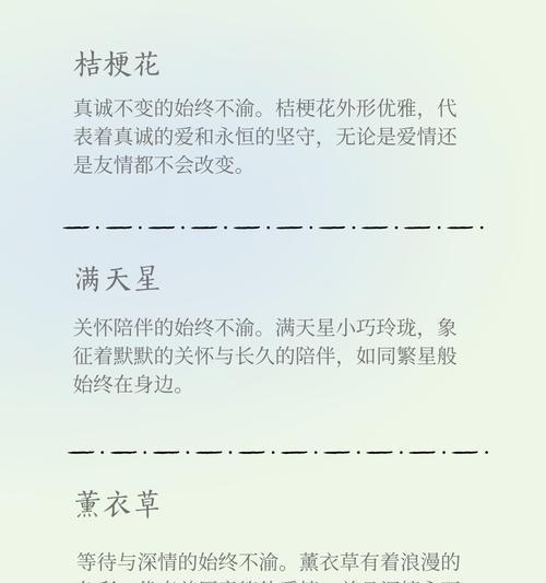 浪漫玫瑰的花语和寓意是什么？它如何表达爱意？