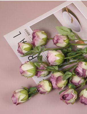 枯萎的花代表什么？它们的花语有何特别之处？